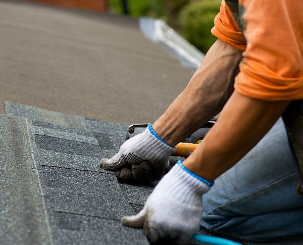 Residential Roof Replacement in Fish Hawk, FL