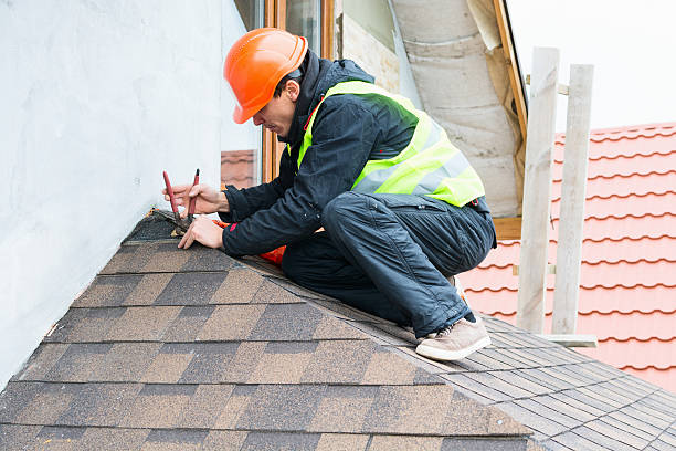Best Roof Maintenance Services  in Fish Hawk, FL