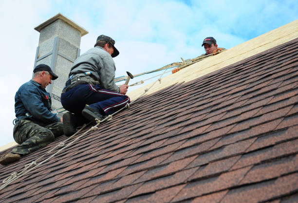 Quick and Trustworthy Emergency Roof Repair Services in Fish Hawk, FL